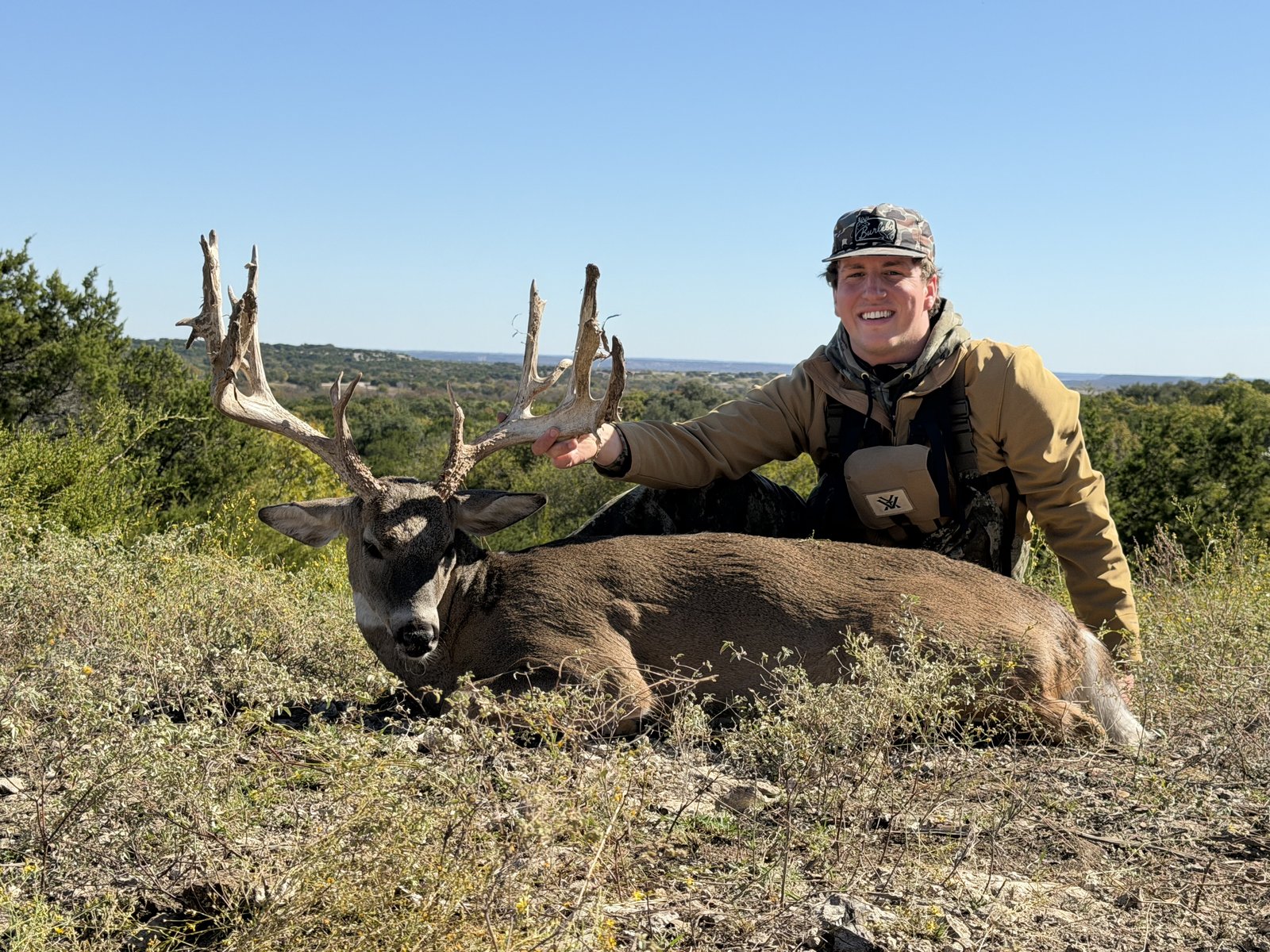 Wide nontypical whitetail buck