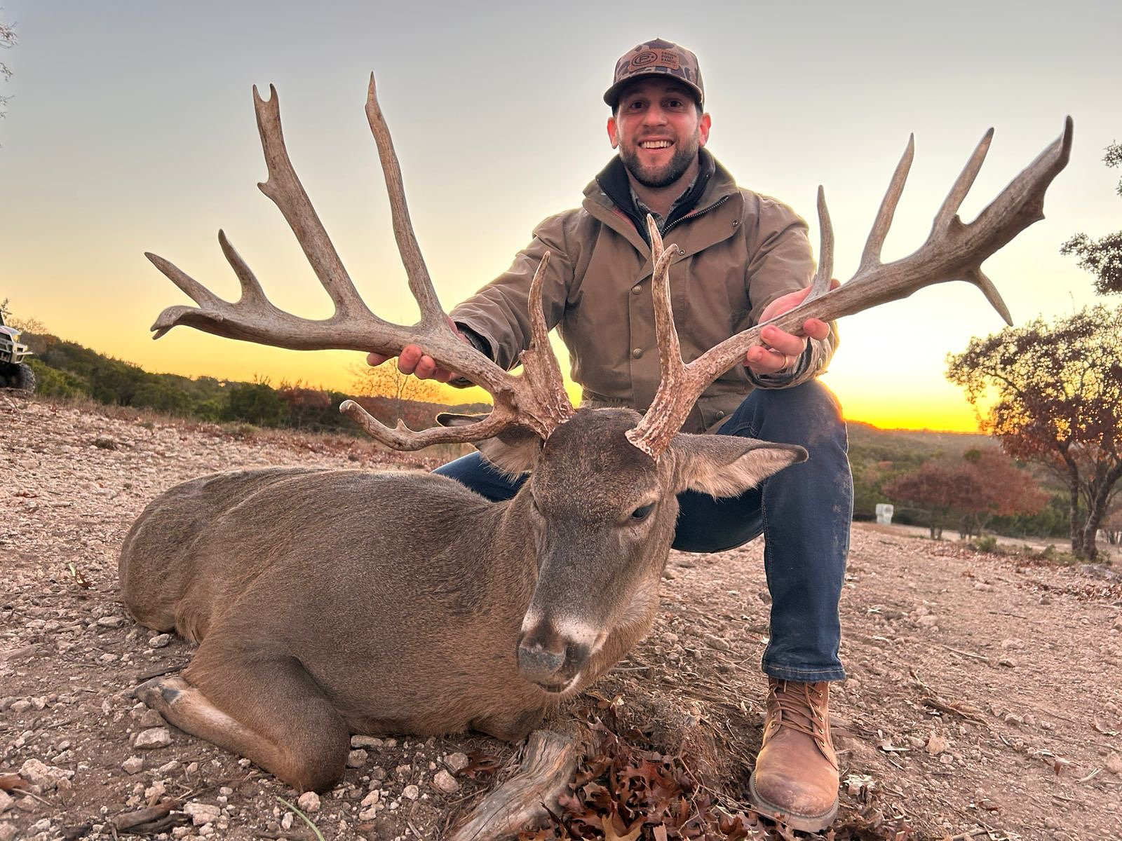 Whitetail buck taken at sunset