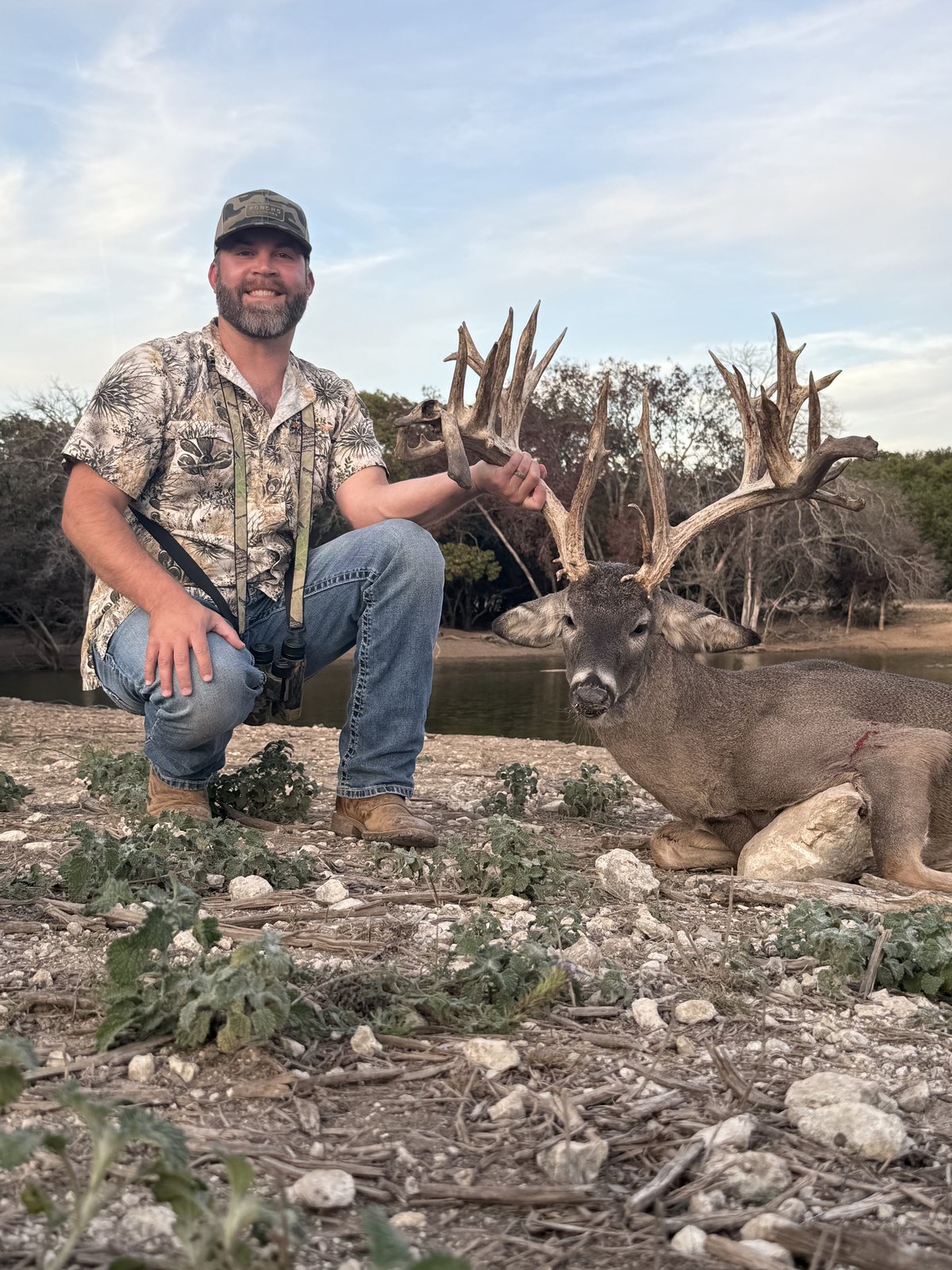 Whitetail buck taken by the water
