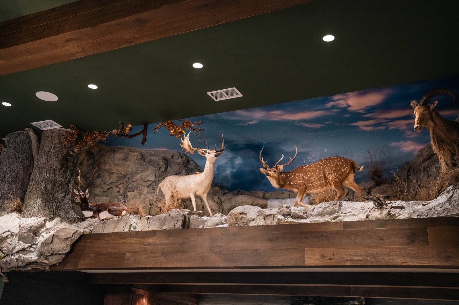Custom taxidermy display above the great room